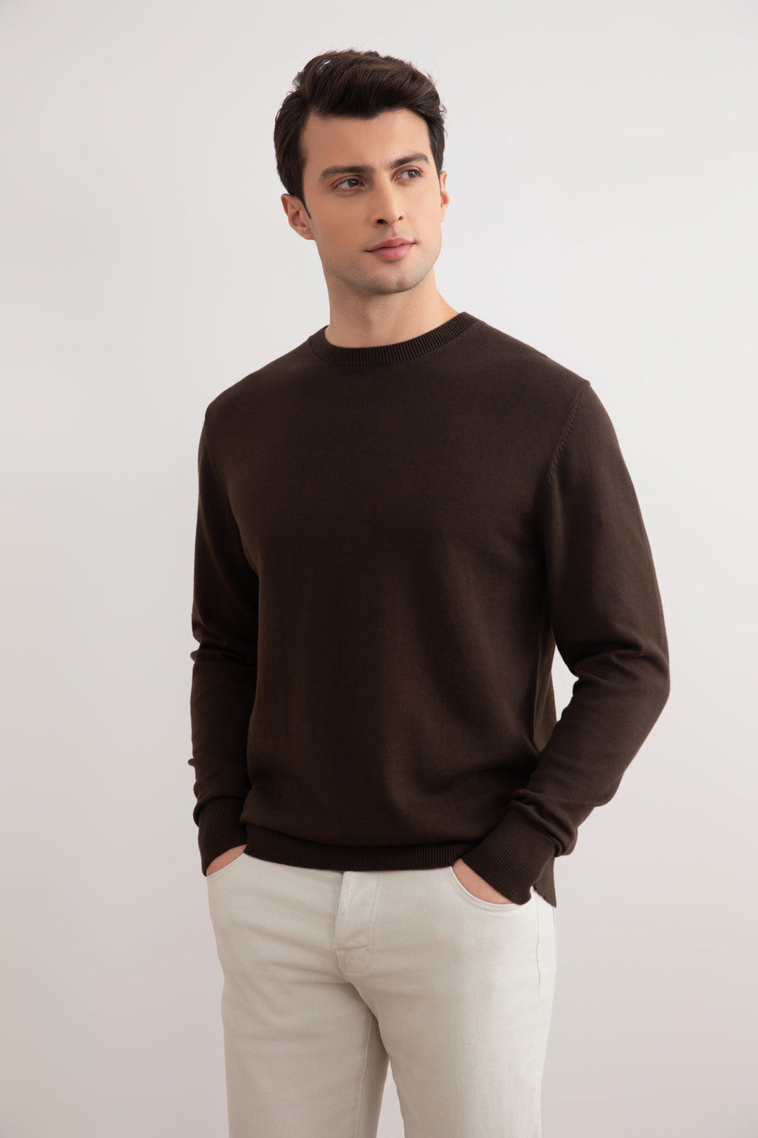 Brown Crewneck Sweater